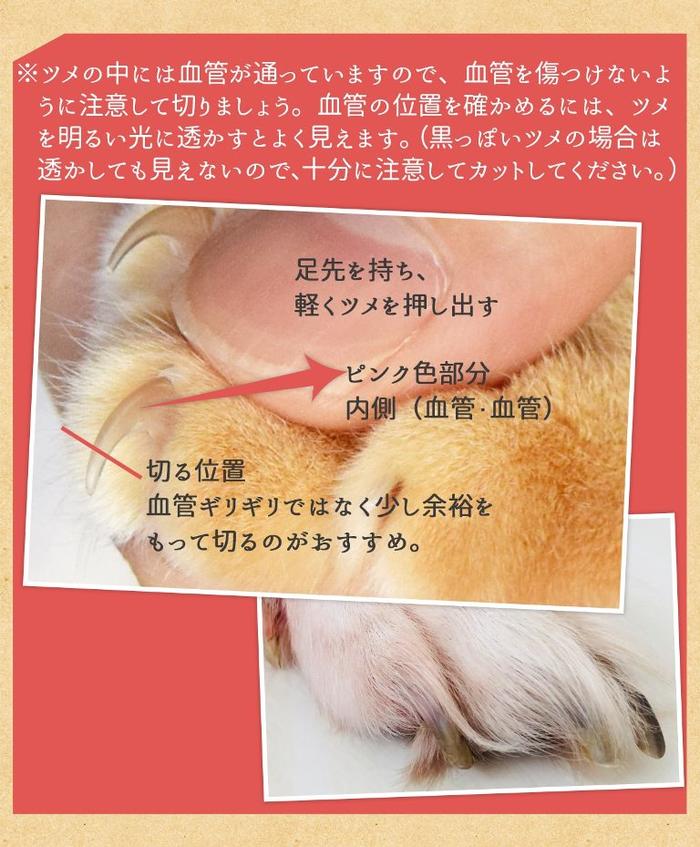 ペット爪切り ペット ペット用 爪切り つめ切り 犬 爪切り 犬の爪切り 猫 爪切り ギロチンタイプ レッド 12cm ヤスリ付き 犬用 猫用 小型犬 送料無料