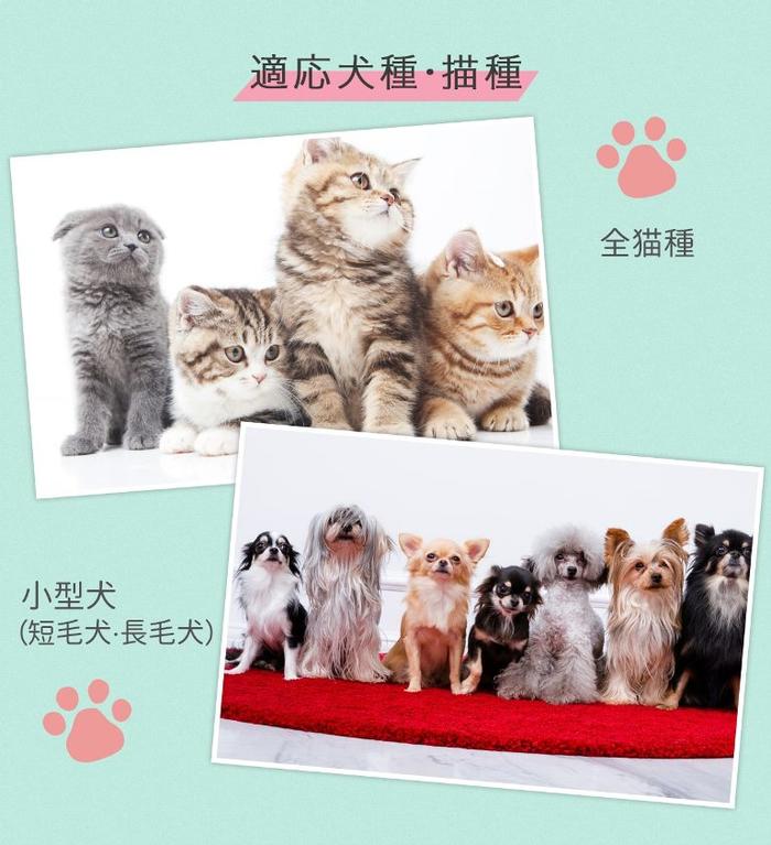 ペット爪切り ペット ペット用 爪切り つめ切り 犬 爪切り 犬の爪切り 猫 爪切り ギロチンタイプ レッド 12cm ヤスリ付き 犬用 猫用 小型犬 送料無料